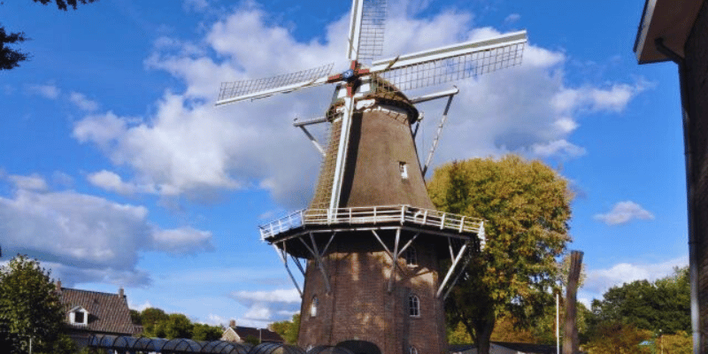 Molen blog Bedstay op 8