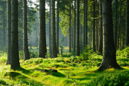 Parky vloeren zijn duurzaam