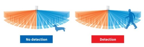 MotionProtect Outdoor Animales