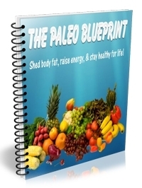 Paleo blueprint e-book afvallen