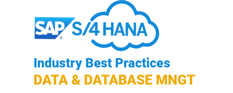 Subsidiary Integration of SAP S/4HANA Cloud to Central Finance (1W4)