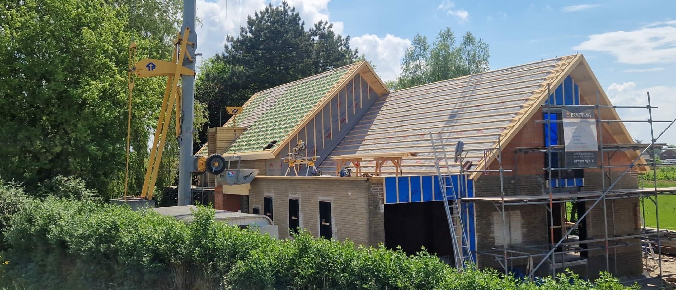 Dakrenovatie en ongediertepreventie: hoe een nieuw dak helpt om ongedierte buiten te houden