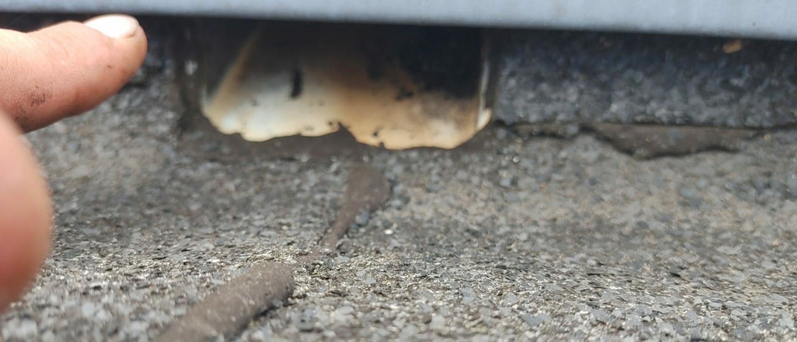 Lekkage op het platte dak van je schuur? Dit moet je weten (en doen)