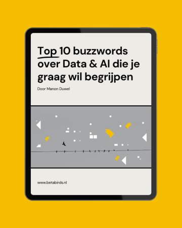 Promotie minigids top 10 buzzwords over Data en AI