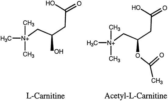 acetil l karnitin hatása