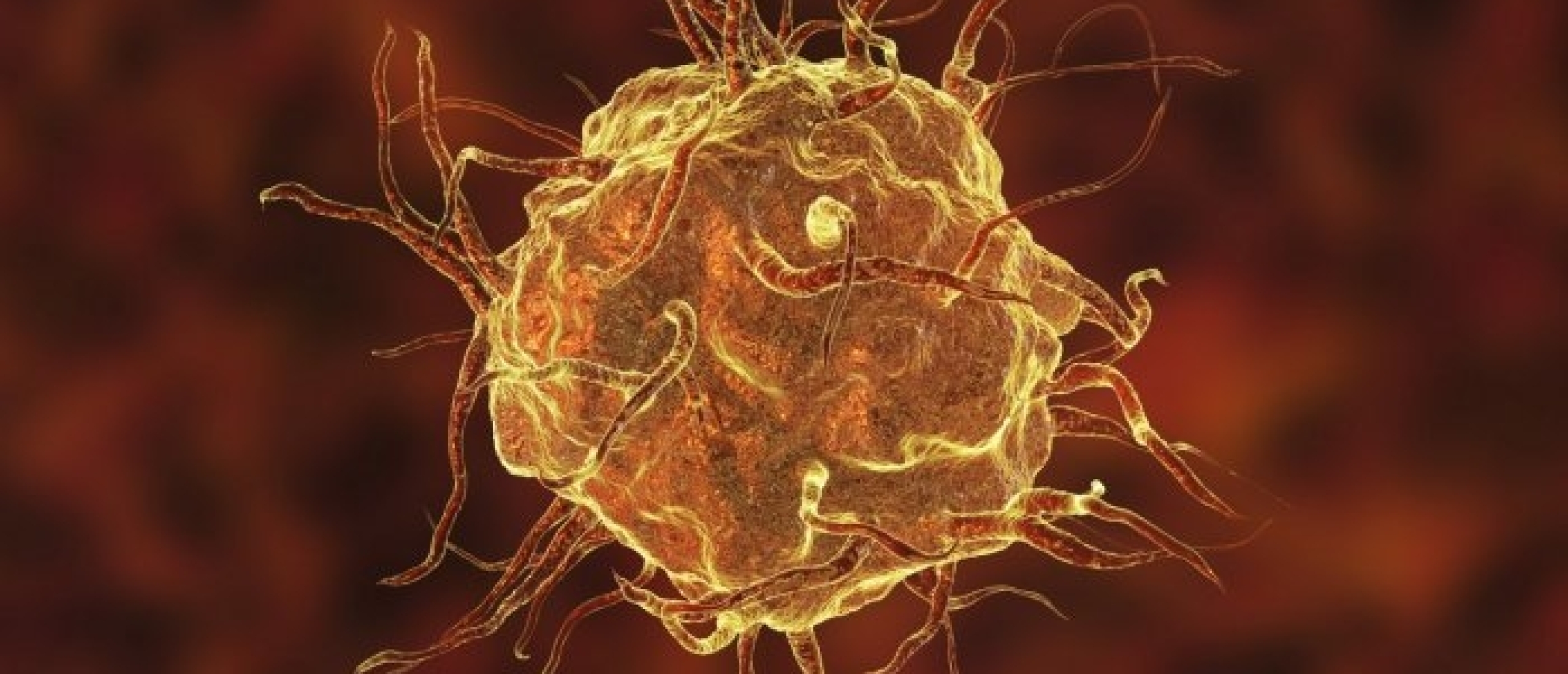 M2 differentiatie bij kanker? Macrofagen vallen de kankercellen niet aan!