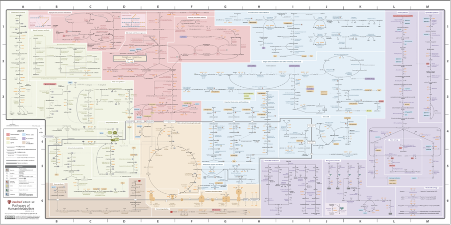 metabolicpathways