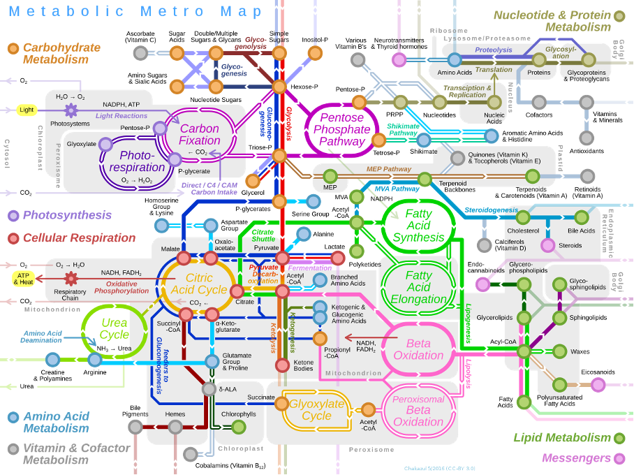 metro map