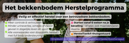 Bekkenbodemoefeningen na bevalling – herstel bij urineverlies en verzakking knip of scheur – Bevallen&Door Betrouwbare bekkenbodem - oefeningen tegen urineverlies/verzakking/knip/scheur