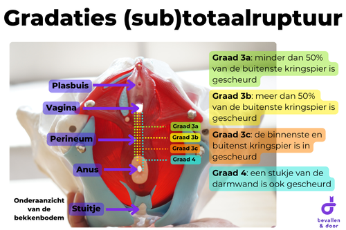 Bekkenbodemoefeningen