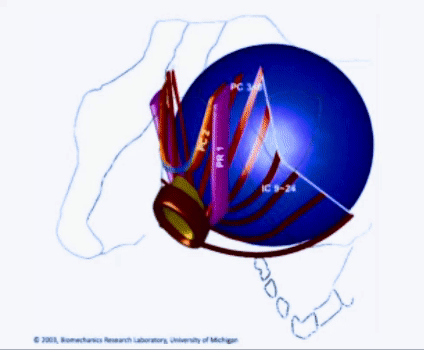 Biomechanics Research Laboratory University Michigan 2003