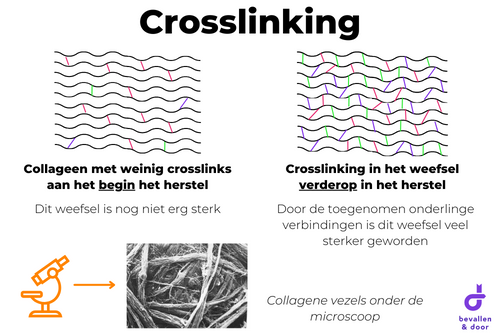 Crosslinking - Herstel van een litteken van een totaalruptuur Herstel na bevalling - littekenmassage
