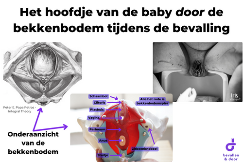 Bekkenbodemoefeningen na een knip