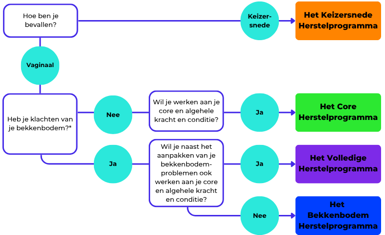 Postpartum online herstelprogramma na bevalling en keizersnede