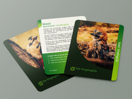 Doosje Vogelwijsheid vogelcoachkaarten voor persoonlijke ontwikkeling leuk om als cadeau te geven vorrbeeldkaarten