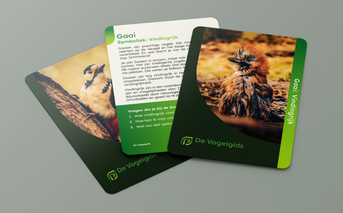 Doosje Vogelwijsheid vogelcoachkaarten voor persoonlijke ontwikkeling leuk om als cadeau te geven vorrbeeldkaarten
