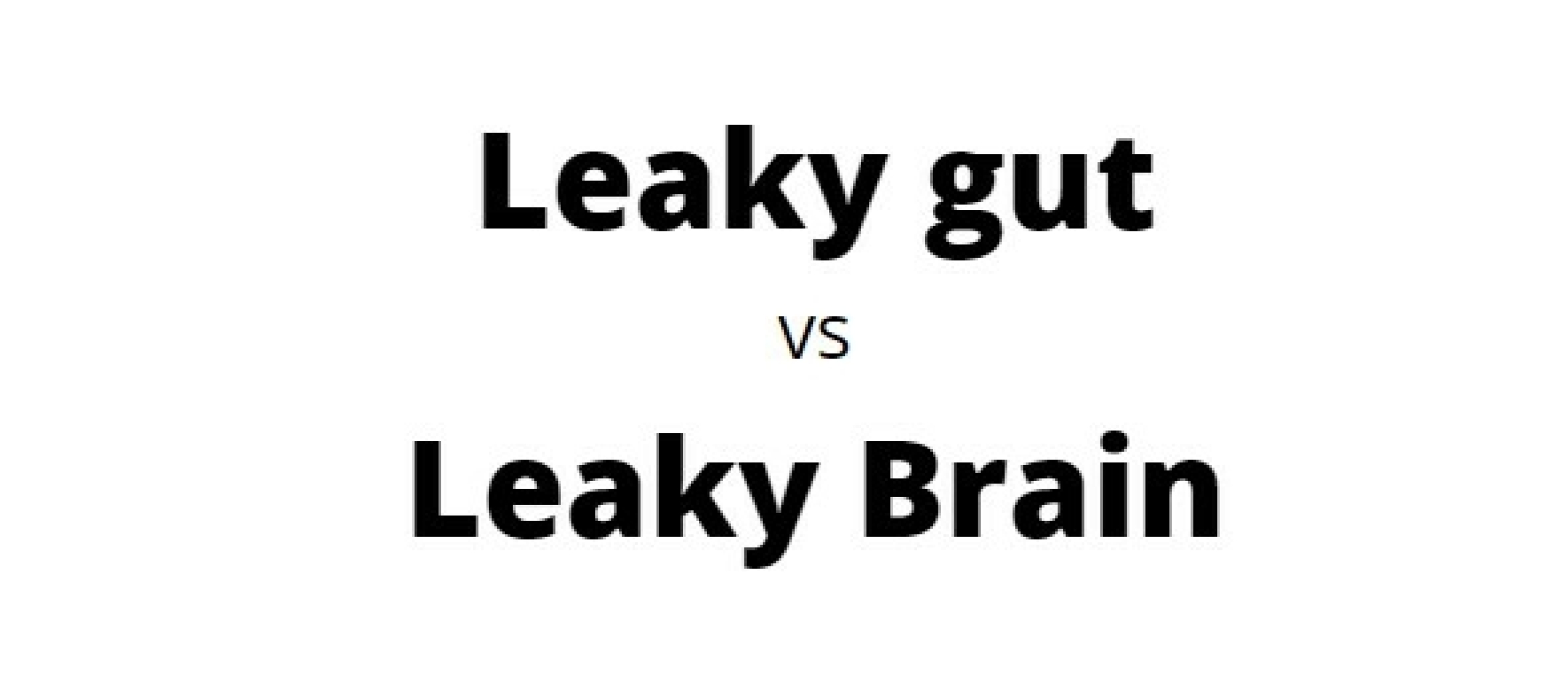 Leaky brain, waar hebben we het eigenlijk over?