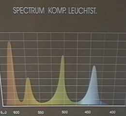 licht spectrum van de TL-balk en spaarlamp