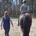 houding en zit te paard verbeteren