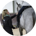 begeleiding hippische sportoefentherapie te paard