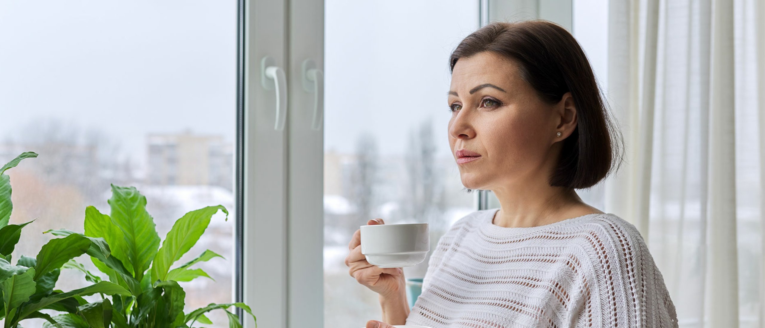 Wat is menopauze: menopauze en overgang