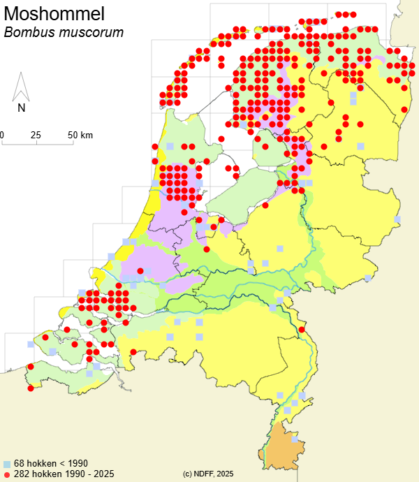 Verspreidingskaart Moshommel