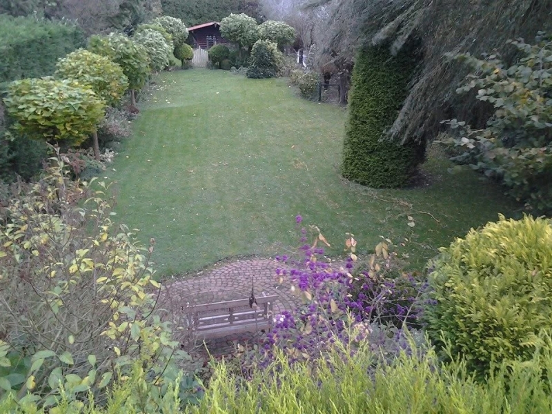 Van standaard tuin naar natuurtuin