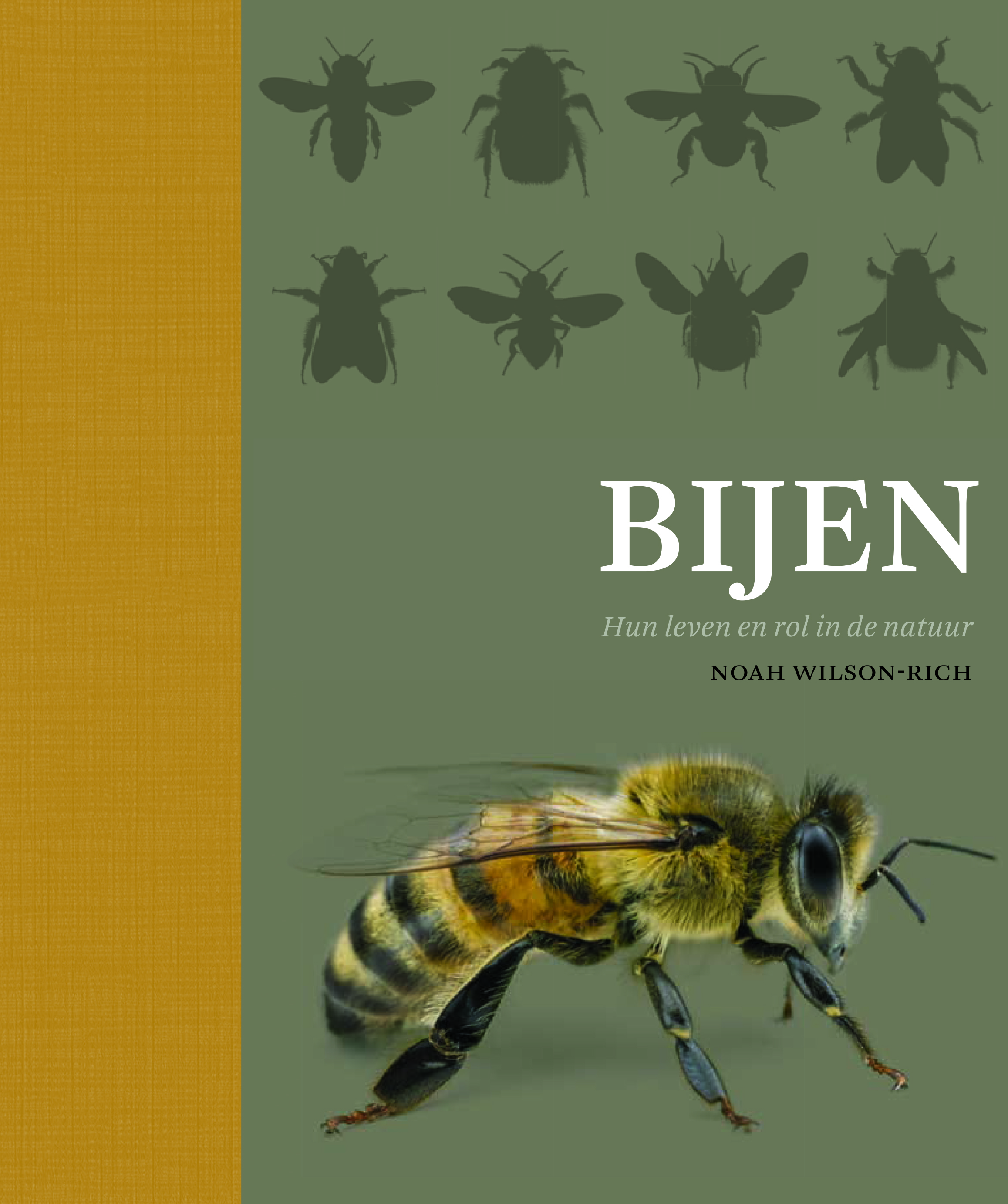 Bijen hun leven en rol in de natuur | Noah Wilson-Rich