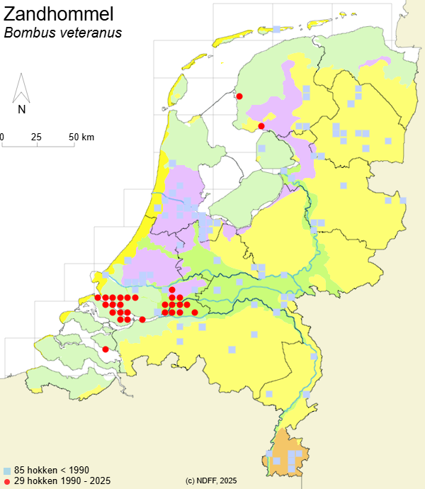 Verspreidingskaart zandhommel