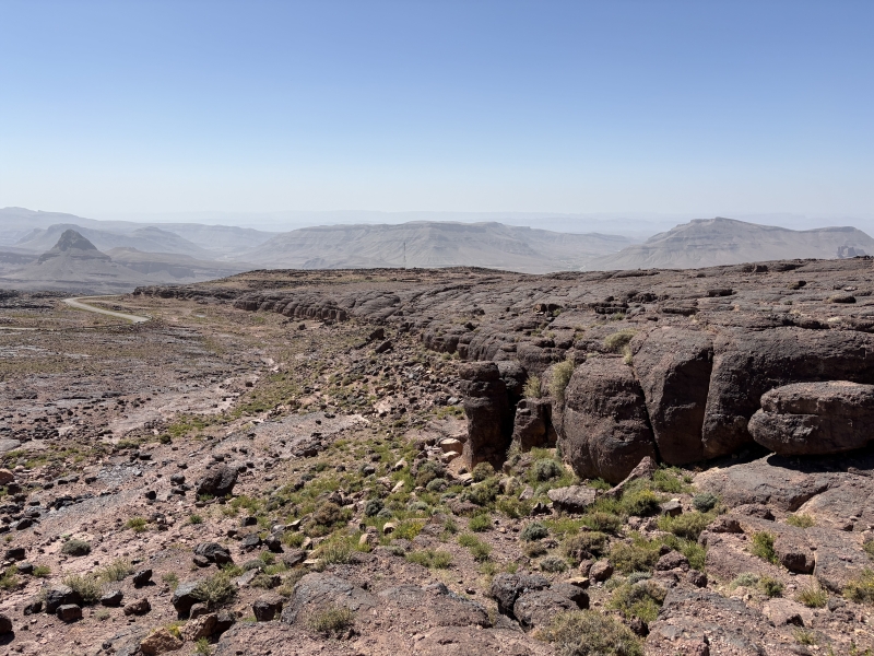 Anti-Atlas habitat Sahara-honingbij Apis mellifera sahariensis