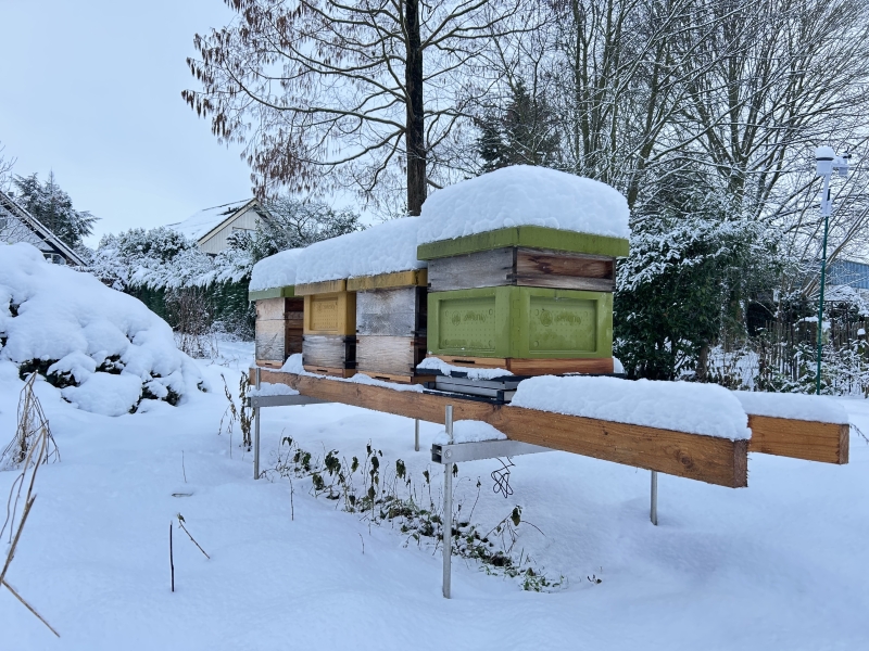 Bijenkast met sneeuw op het dak