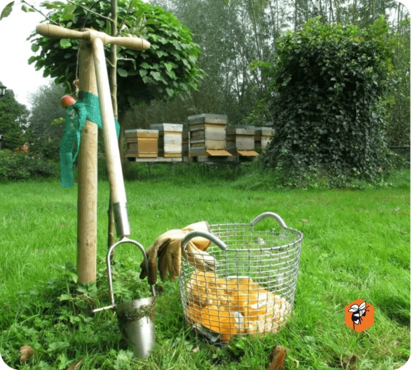 Welke eisen gelden voor een goede standplaats voor bijen?