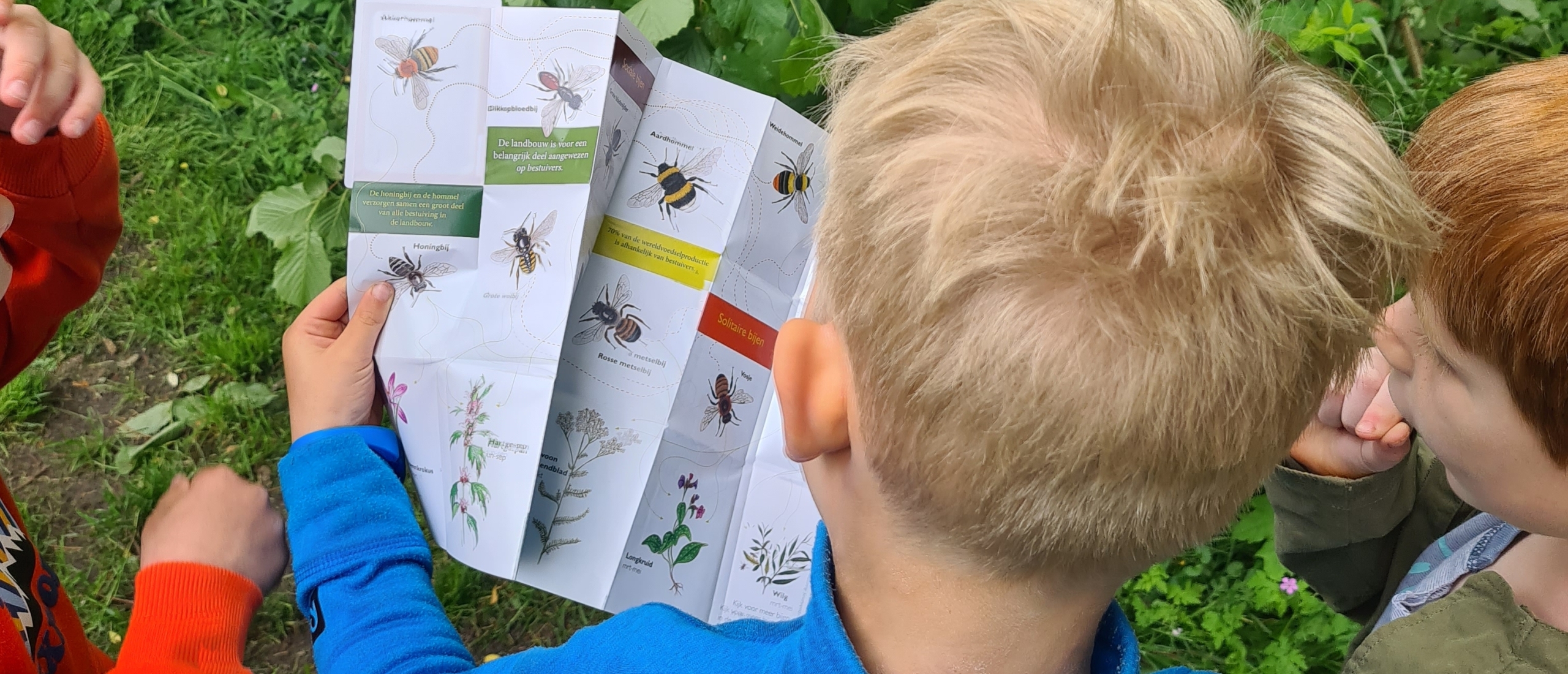 Kinderen op Bijles