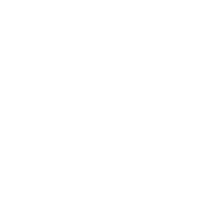 eenmalige donatie hart