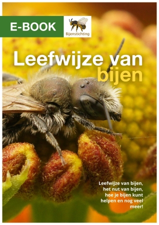 omslag voor online boek leefwijze van bijen