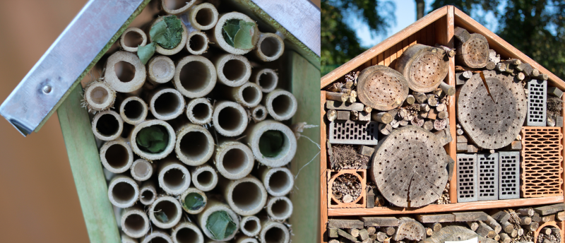 bijenhotels_verschillende