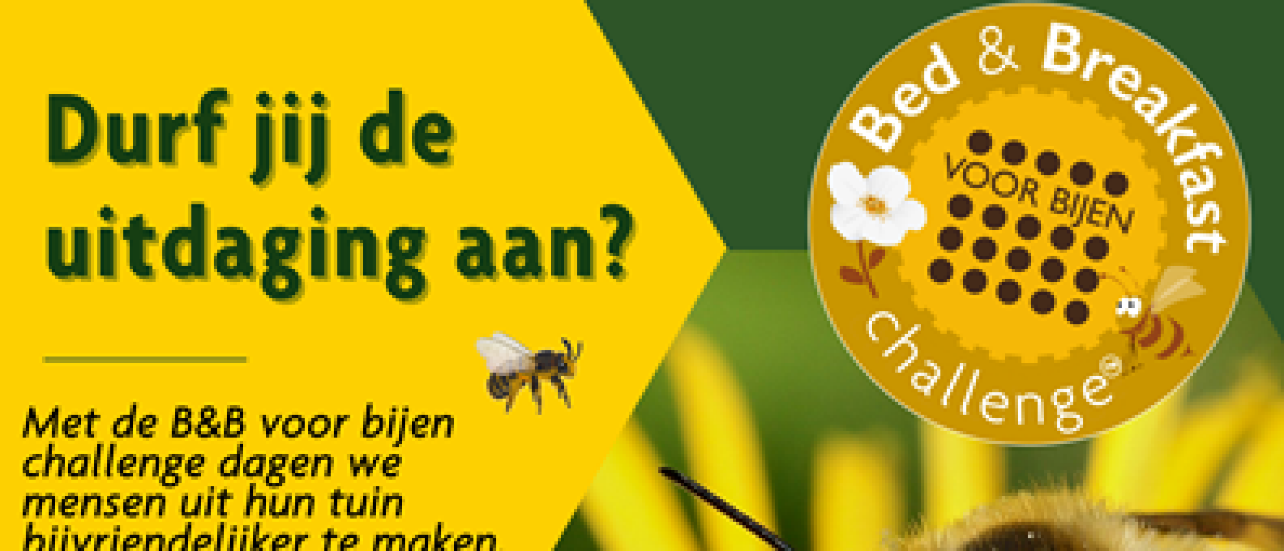 Persbericht: Doe mee met de Bed & Breakfast voor Bijenchallenge 2024!