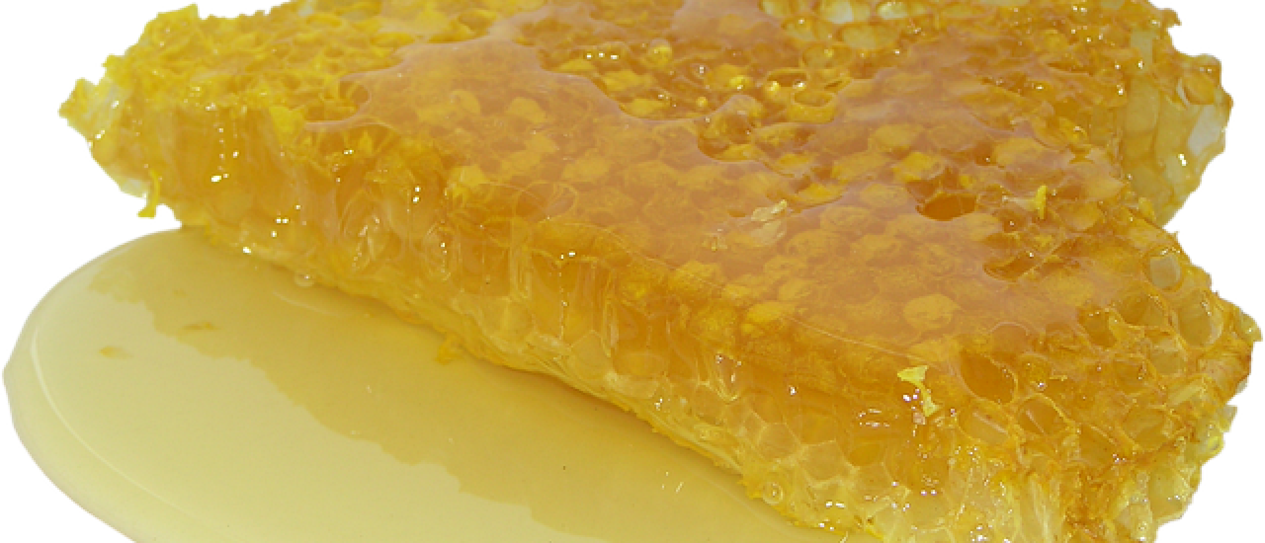 Zin in honing? Houd wel rekening met wilde bijen.