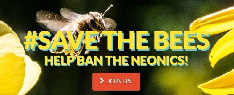 Ruim 80 natuurorganisaties waaronder De Bijenstichting roepen op tot een volledig Europees verbod van Neonicotinoiden.