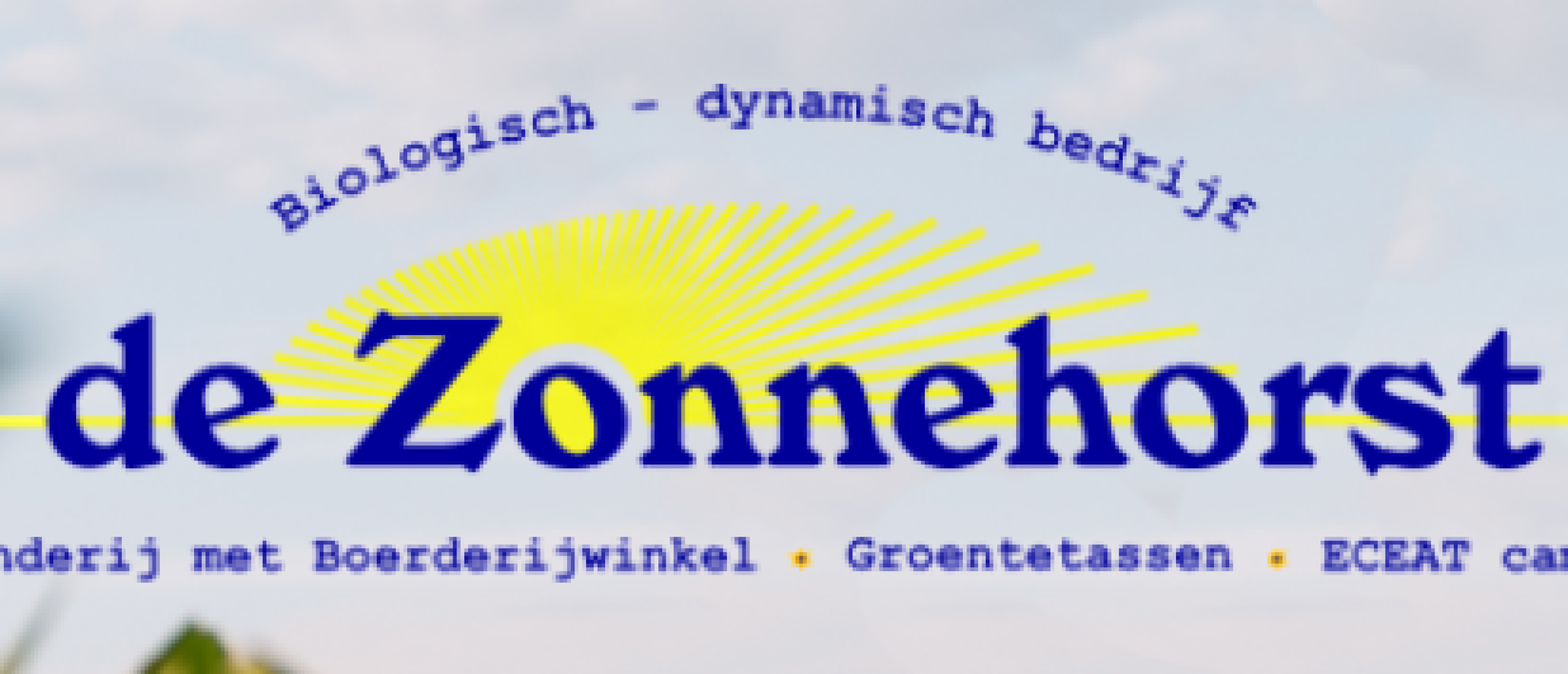 Bioblitz de Zonnehorst leverde verrassende resultaten op