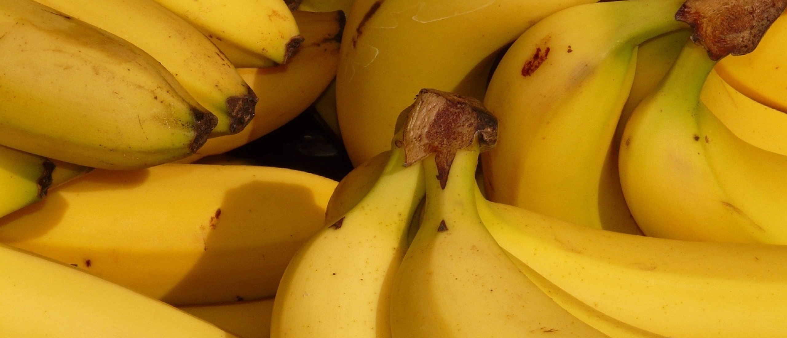 bananen bron vit b6 bananen bron vit b6