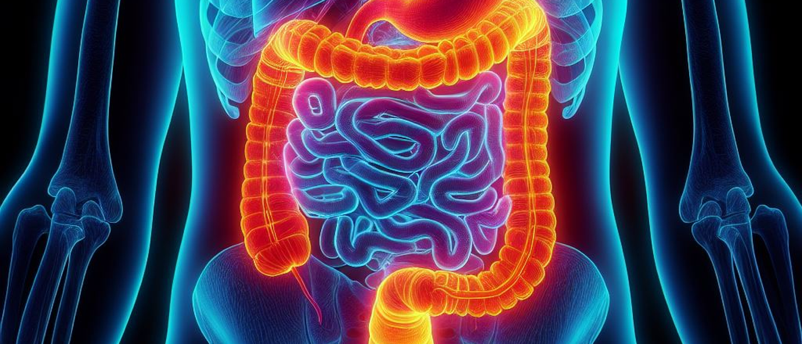 darm-brein-as darm-brein-as