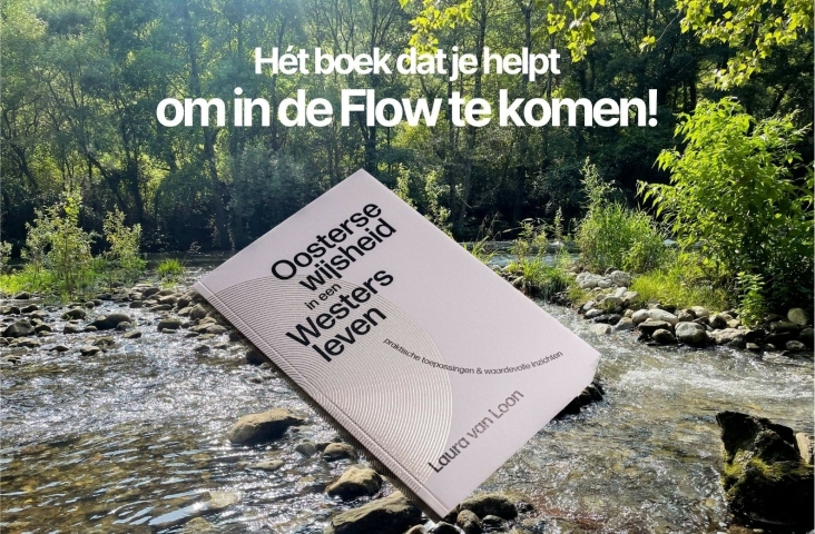 afbeelding boek laura van Loon