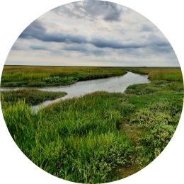 de natuur als medicijn