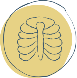 symbool tietze een borstkas