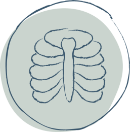 symbool specialisatie Tietze en costochondritis