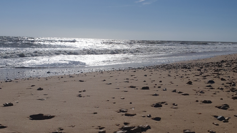 afbeelding kust Bretagne waar het keltische zout wordt gewonnen