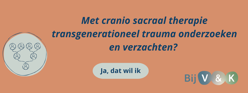 transgenerationeel trauma