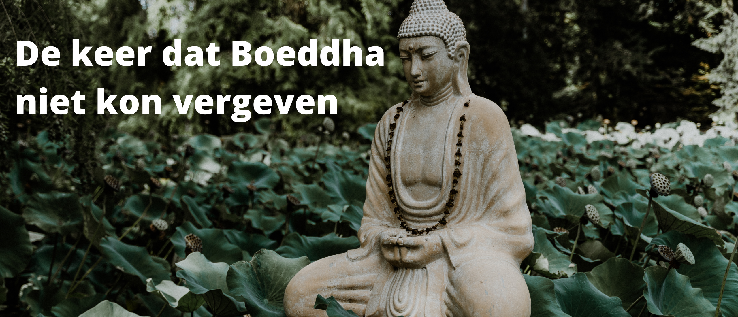 De keer dat Boeddha niet kon vergeven
