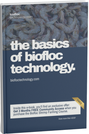 The Basics of Biofloc Technology – E-book Cover The Basics of Biofloc Technology e-book cover with Vannamei shrimp